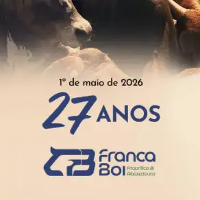 Siga-nos no Instagram