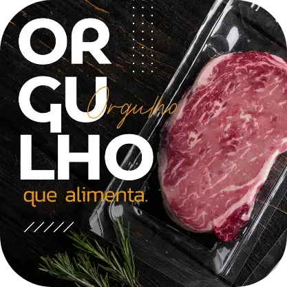 Siga-nos no Instagram